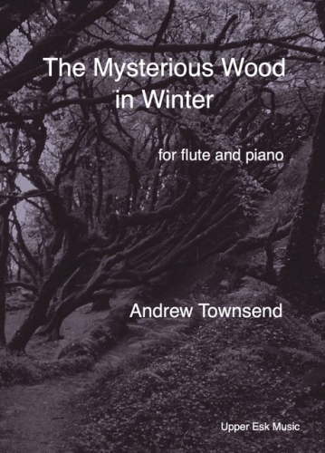THE MYSTERIOUS WOOD IN WINTER