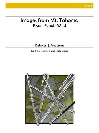 IMAGES FROM MT TAHOMA