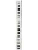 30cm RULER Keyboard Design (Clear)