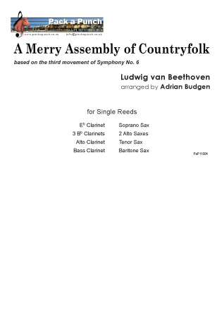 AN ASSEMBLY OF MERRY COUNTRYFOLK